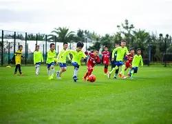 纳指涨幅超,工业富联否,认调整,WM完美真人视讯,WM完美真人平台,WM完美真人官网,WM完美真人官网app