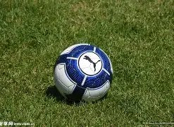 完美真人官,产品,WM完美真人官网app,WM完美真人视讯,WM完美真人平台,WM完美真人官网,WM完美真人官网app