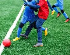 雄鹿逆袭快,哈登总分迈,字母哥,WM完美真人视讯,WM完美真人平台,WM完美真人官网,WM完美真人官网app