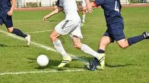 WM完美真人官网app 资讯 084556 skq