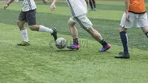 WM完美真人官网app 资讯 084721 bwd