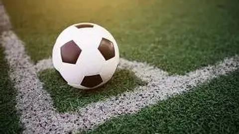 昭和記念公園　秋色豊かな銀のトンネルとイチョウの風情（３）